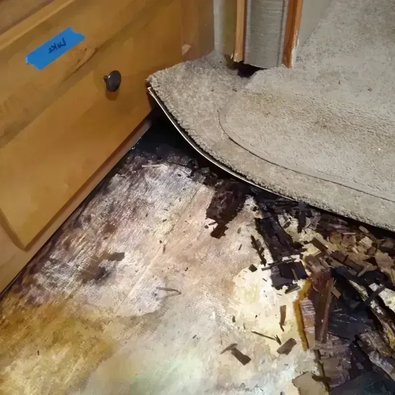 Wood Floor Water Damage in Linden, NJ